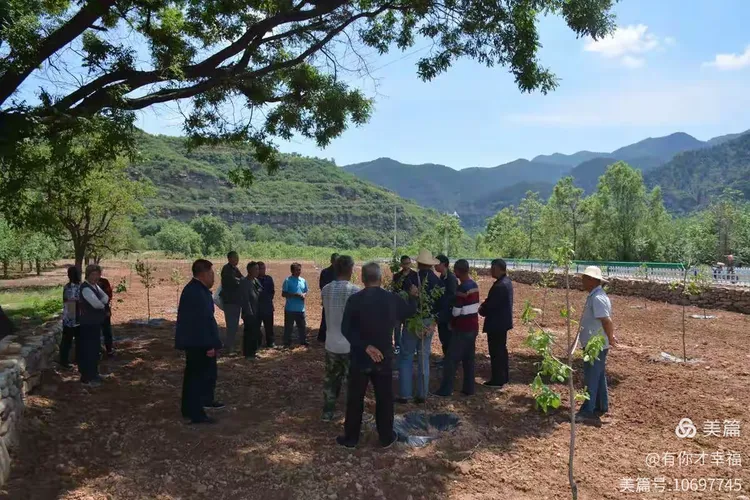 建设科技示范基地 推广新品种新技术